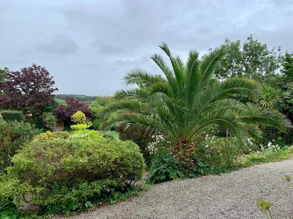 Penquite Holiday Accommodation Uny Lelant 外观 照片